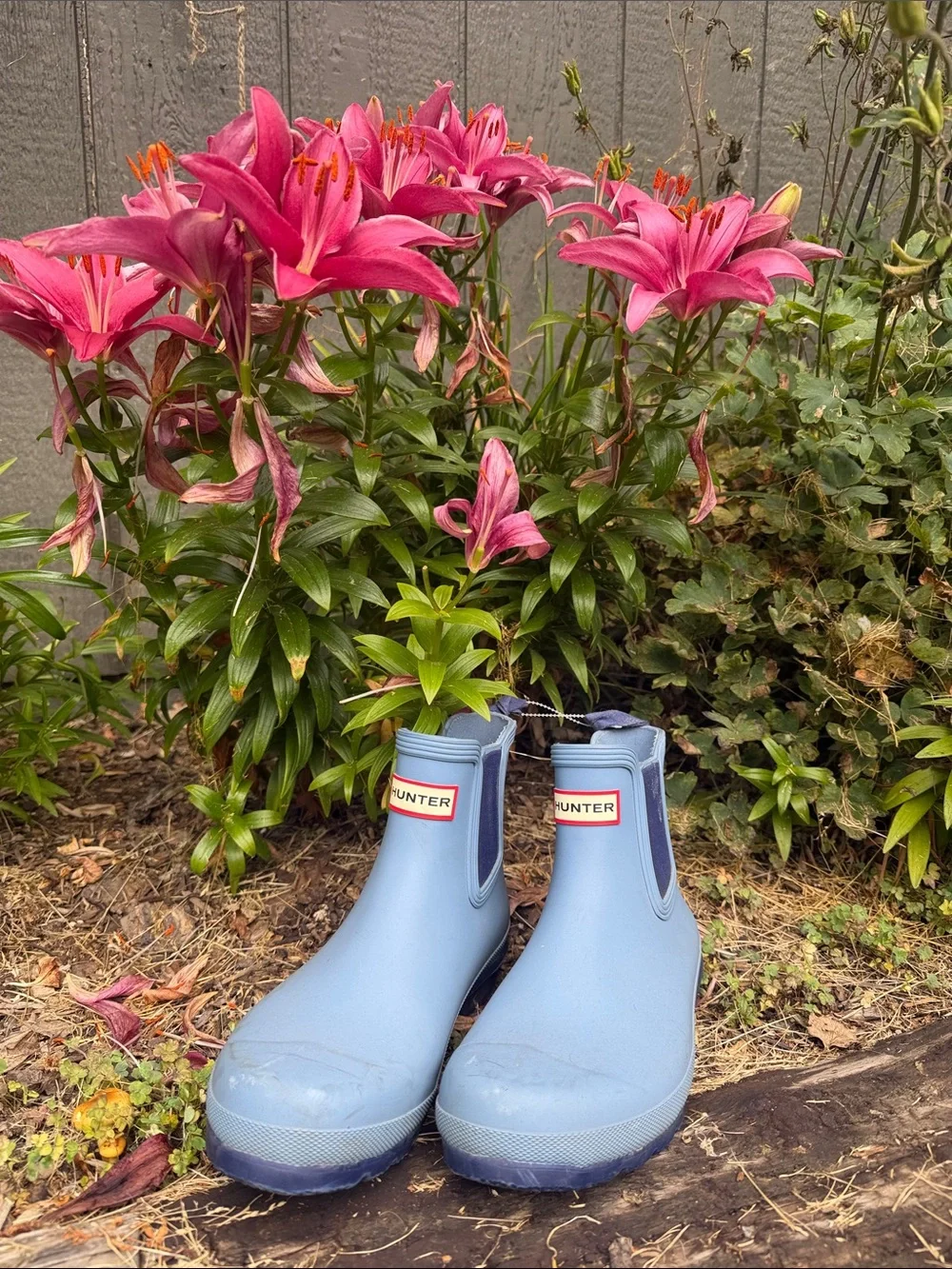 Hunter Chelsea Rain Boots in Blue and Navy
